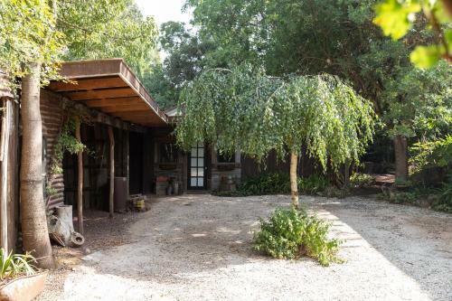 Oscar's Garden