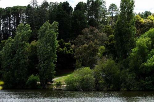 Splinters Cottage - Lakeside Retreat