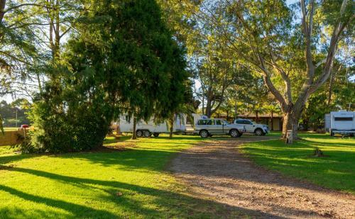Dorrigo Mountain Holiday Park