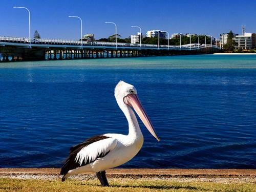 Apartamento Sandbar 103 - Forster Main Beach