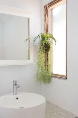 Apartamento Koala At White Gum Lodge