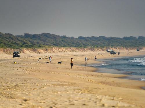 Hit The Beach