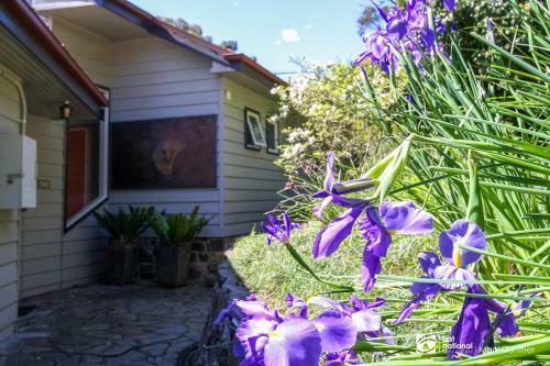 Mi Casa - Healesville