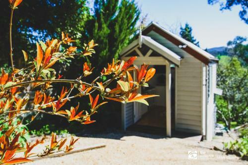 Apartamento Alsace - Healesville