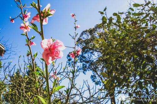 Apartamento Alsace - Healesville