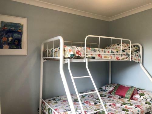 Marlin Magic At Hat Head