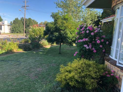 Pleasant View