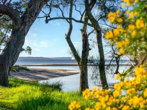 Tapalla Point At Huskisson 4pm Check Out Sundays