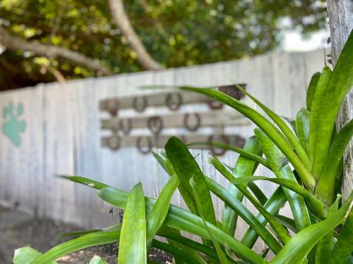 Bromeliads Unit 2 7 Ballanda Crescent