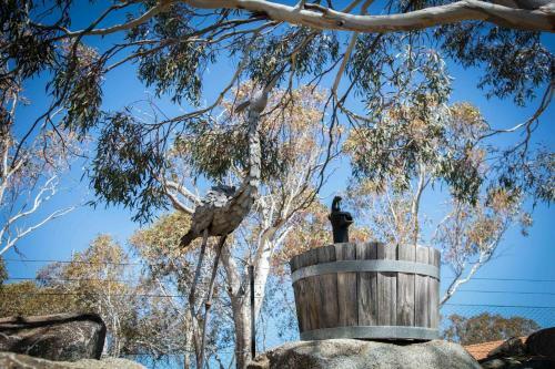 Snowy Mountains Townhouse