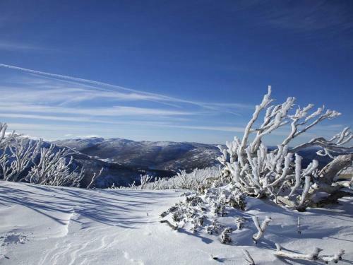 Apartamento Alpine Gables 5