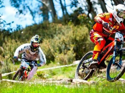 Apartamento Chalet Rene 2 5 The Nook