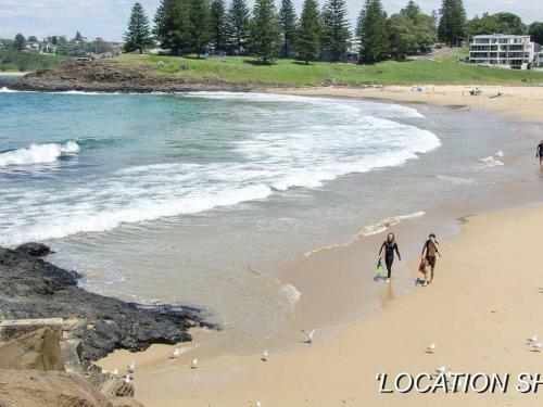 Blake Loft On Manning - 500 Metres To Two Beaches