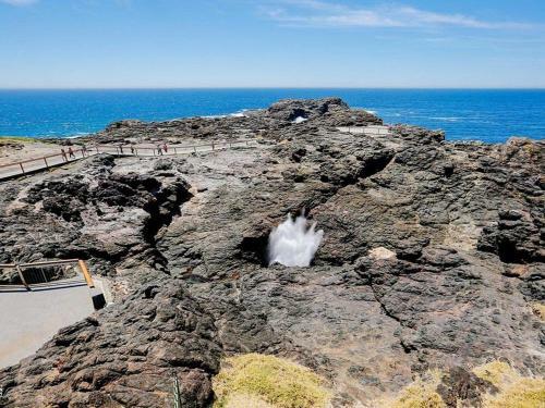 Sting Dream - Walking Distance To The Beach