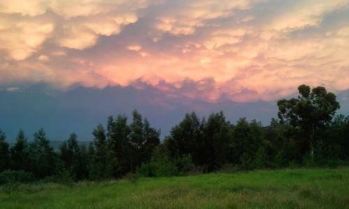 Hostal Protea Wilds Retreat