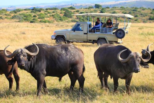 Lodge Botlierskop Private Game Reserve