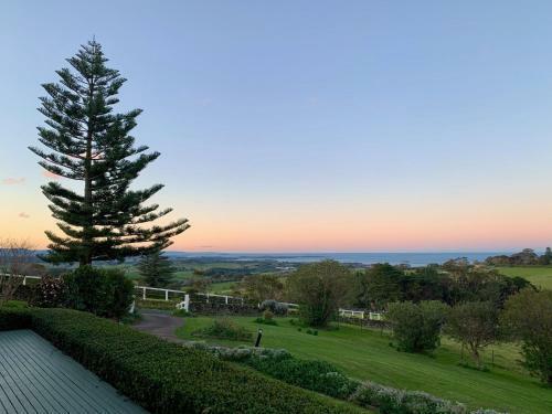 Saddleback Grove Kiama 4pm Check Out Sundays