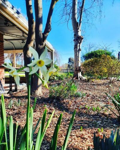 Hotel The Lancefield Lodge