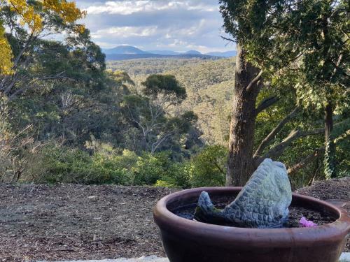 New Winston Cottage Leura Views & Location