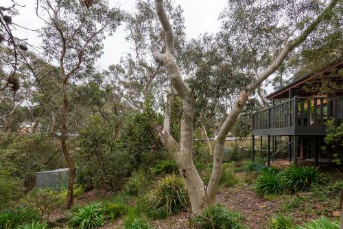 Mountain Home Leura - Perfect Weekend Escape