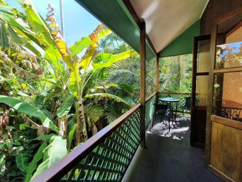 Lodge Cassowary House