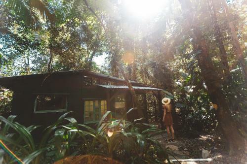 Lodge Cassowary House