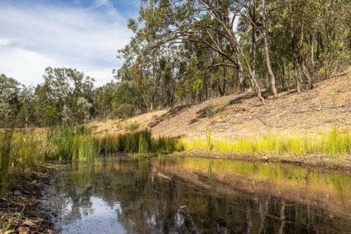 Green Tree Cottage By Your Innkeeper Mudgee
