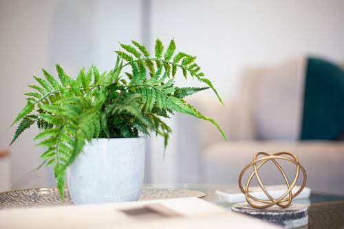 Urban Rest - Bella Apartments