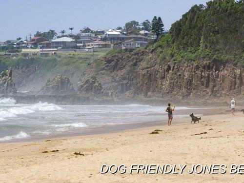 Beach House On Jones Beach - Kiama Accommodation