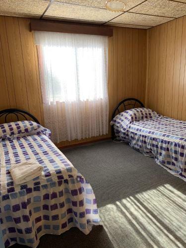 Hotel Limestone Coast Tourist Park