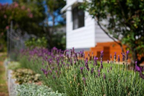 Waratah Up Douro By Your Innkeeper