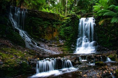 Apartamento Russell Falls Holiday Cottages