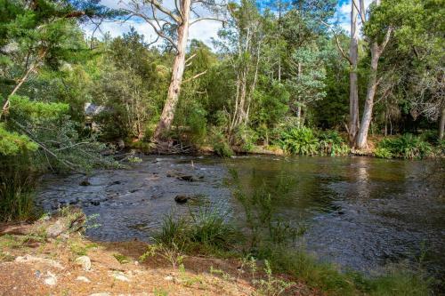 Apartamento Russell Falls Holiday Cottages