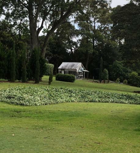 Byron Hinterland Farm - Minutes To Everything!