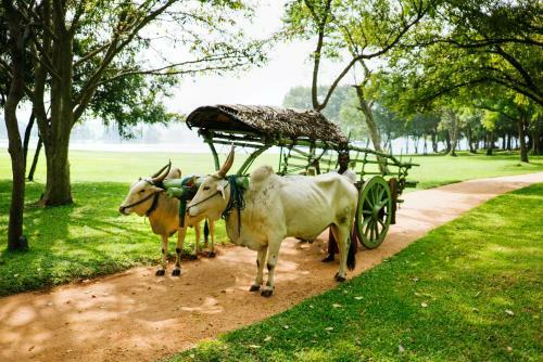 Hotel Amaya Lake Sigiriya