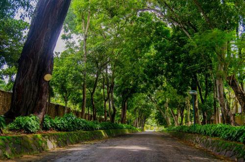 Tamarind Tree Hotel