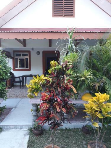 Hostal Veronic Self-catering Guest House