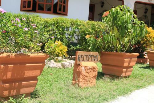 Hostal Veronic Self-catering Guest House