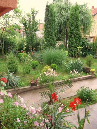 Hostel Kosmopolit