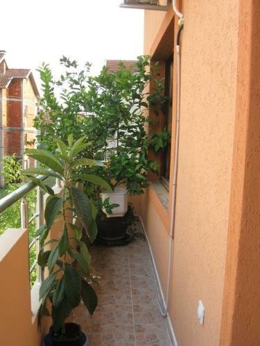 Hostel Kosmopolit