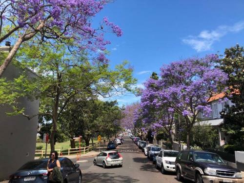 Apartamento Cosy 2br Plus Parking In Nth Sydney