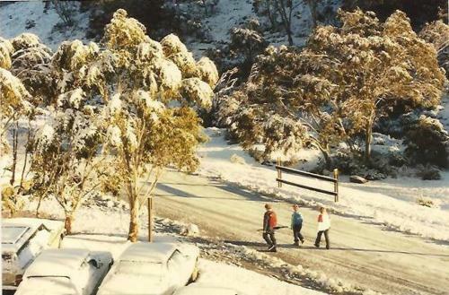 Central 2 Bedroom Apartment C5t