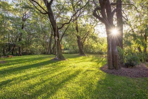 Beach & Trees - Siesta Park