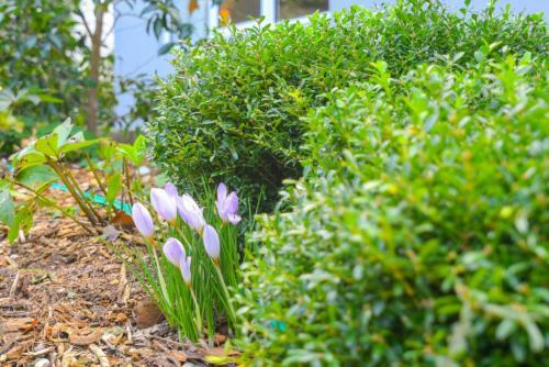 Nature Lovers Dream // Fireplace //access To Hikes