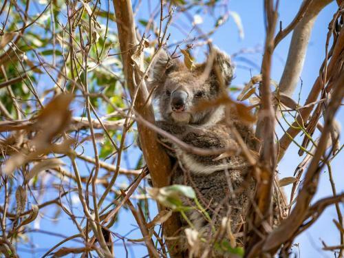 The Deck House - A Wye River Icon