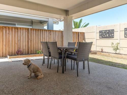 Ningadhun 50 The Drive Yamba