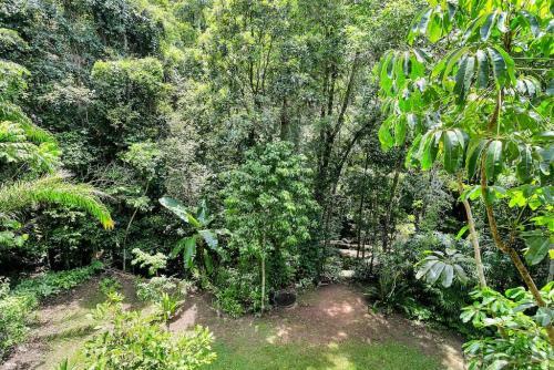 The Secret Treehouse