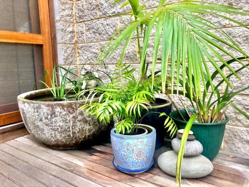 Bed & Breakfast Seaescape
