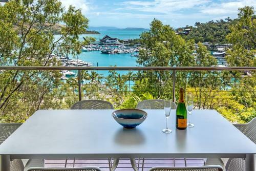 Kingfisher On Hamilton Island