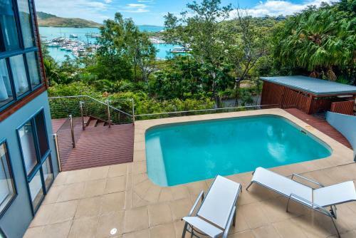 Kingfisher On Hamilton Island